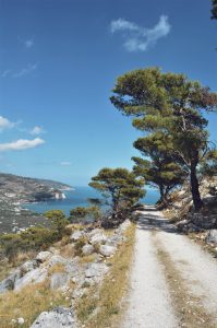 MATTINATA: LA NECROPOLI DI MONTE SARACENO